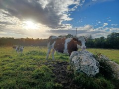 FERME DE KERMOEL Manue et David FERME DE KERMOEL Manue et David