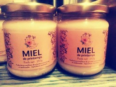 Miel de printemps 250G