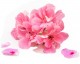 Gelée de Géranium rosat