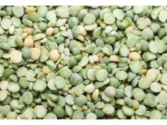 Curry vert de pois cassés