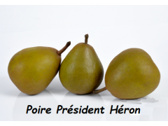poire PRESIDENT HERON 1 kg
