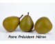 poire PRESIDENT HERON 1 kg poire PRESIDENT HERON 1 kg