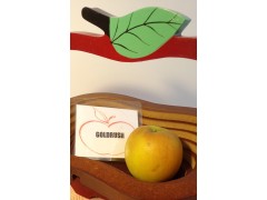 pomme GOLDRUSH la DELIS D OR 1 kg