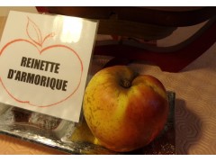 pomme REINETTE D ARMORIQUE 1 kg
