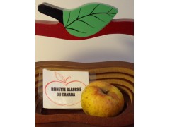 pomme REINETTE BLANCHE DU CANADA 1 kg
