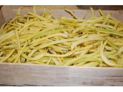 Haricot beurre