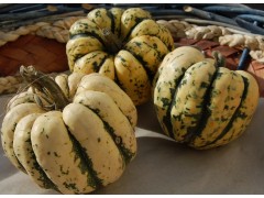 Courge patidou  (2, 3 pièces)