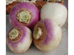 Navet rose