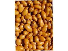SEMENCE Haricot nain à écosser - Marfax