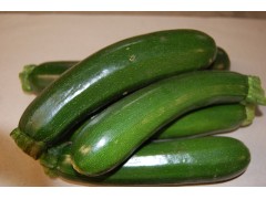 Courgette longue VERTE