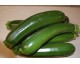 Courgette longue VERTE